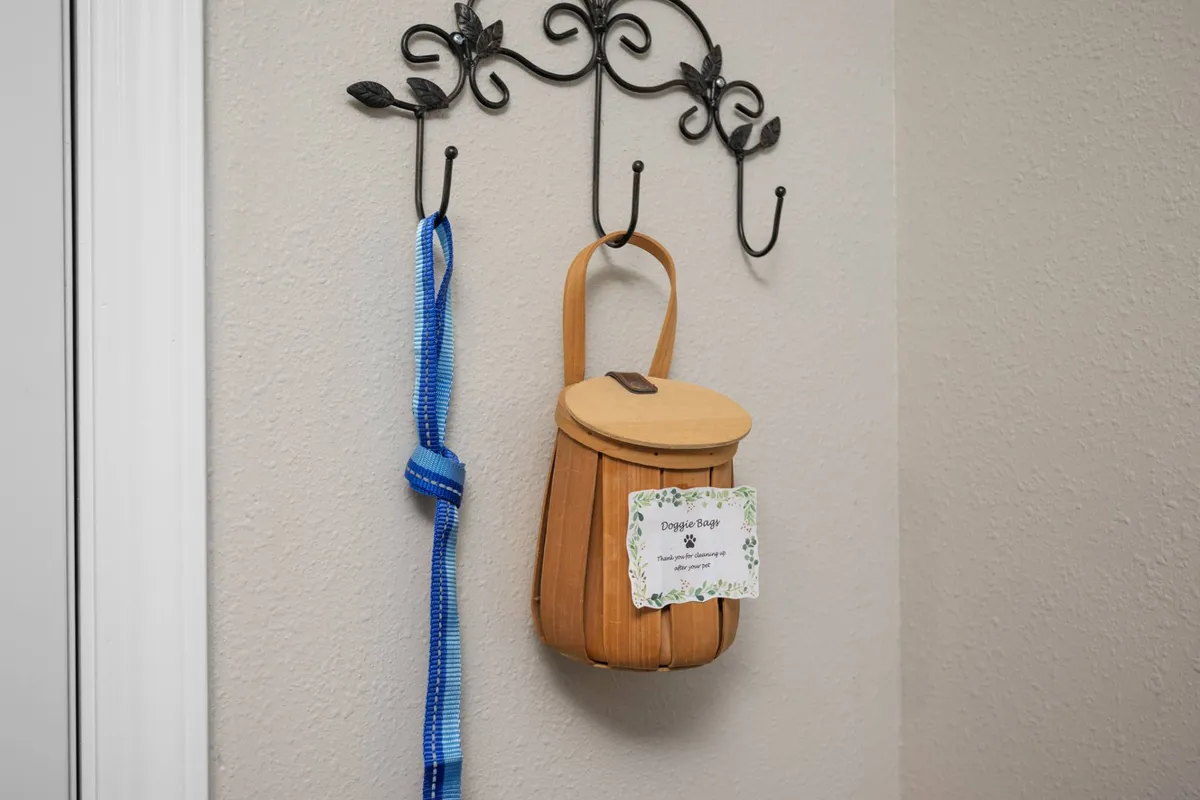 An interior mudroom or entry area with a stylish hanging basket and a blue leash prominently displayed on a decorative hook. The area feels homey, functional, and clearly designed for pet owners, suggesting readiness for walks and outdoor adventures.